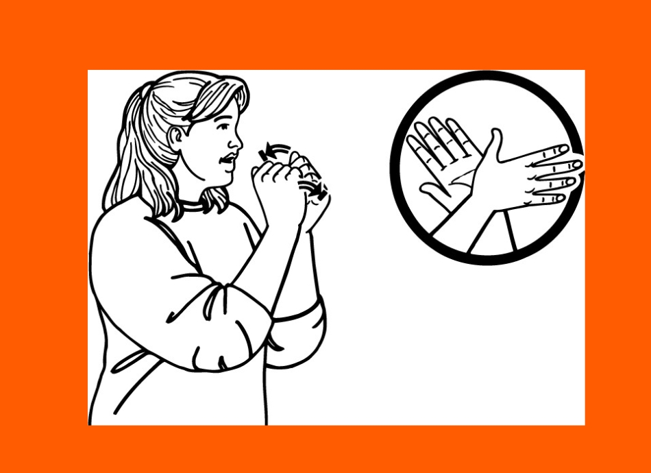 NZSL in sign language 
