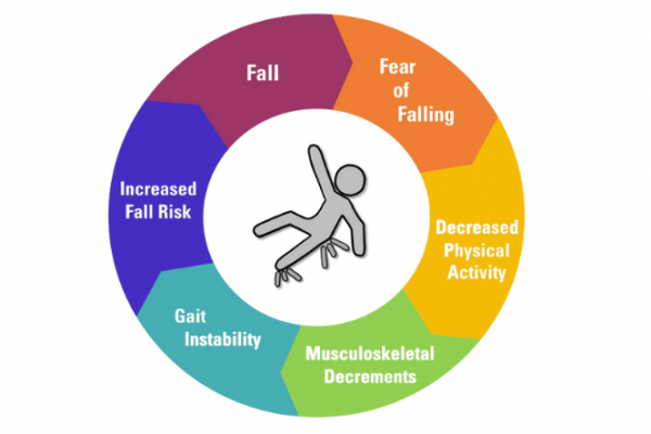 Diagram of factors increasing risk of falling 