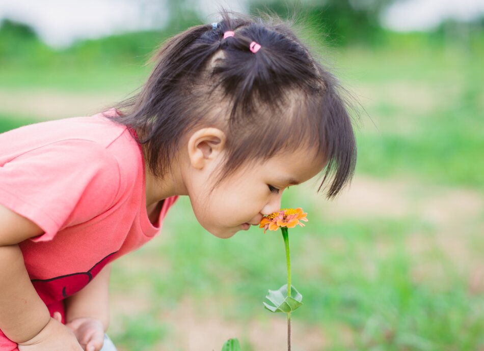 Small girl leans over to sniff an orange flower
