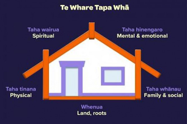 Graphic illustration of te whare tapa whā