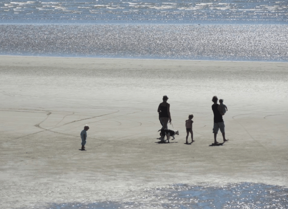 Family walking dog on the beach NZ HN 950x690