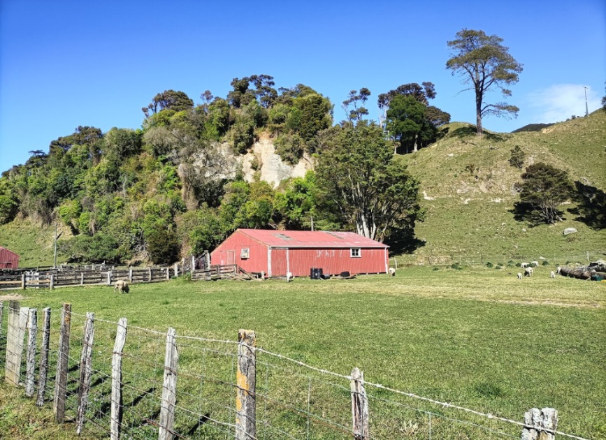 Golden Bay farm building NZ HN 950x690
