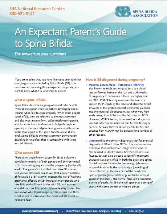 an expectant parents guide to spina bifida
