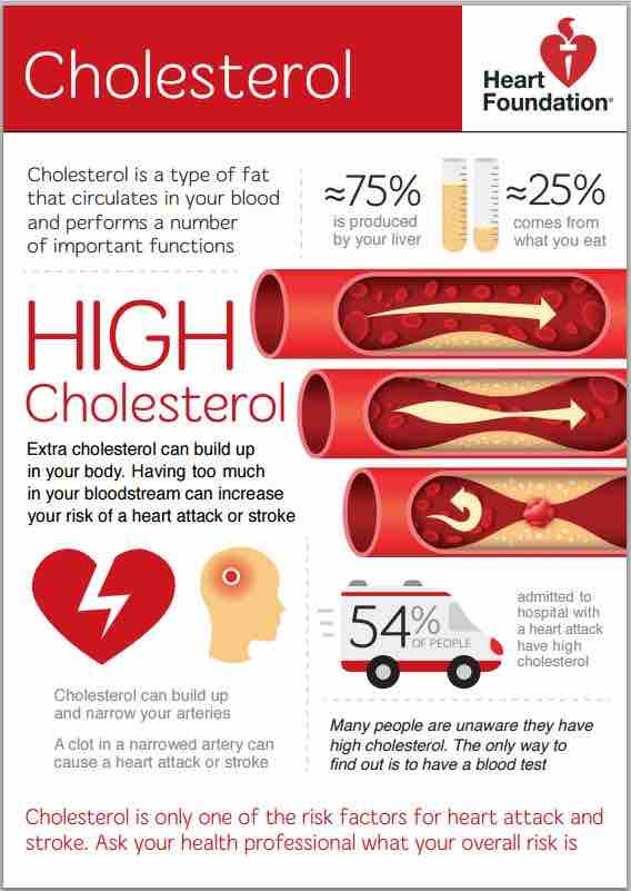 What are the long term side effects for the most popular cholesterol medications?