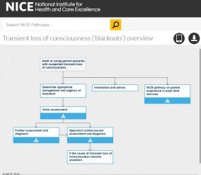 Link to NICE clinical pathway on 'blackouts'