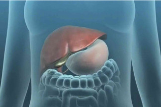 Gallbladder surgery – animation