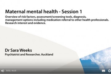 Maternal mental health – clinician seminar