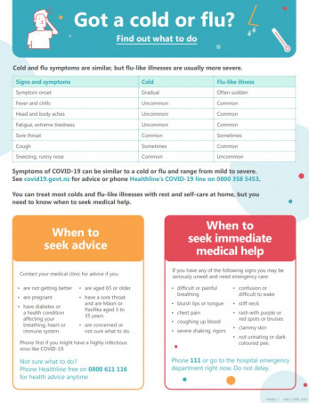 got a cold or flu find out what to do fact sheet