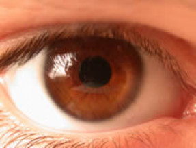 Eye care & eye conditions