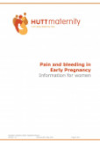 Pain and bleeding in early pregnancy – information for women
