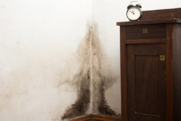 Why are dampness and mould bad for your health?