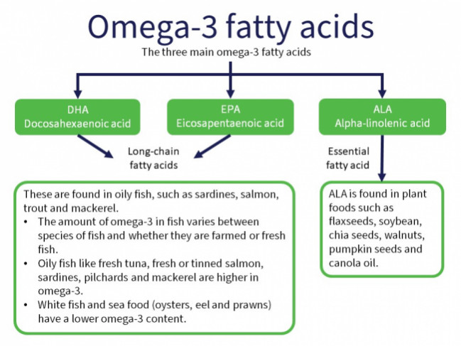 Diagram of different types of omega-3 fatty acids
