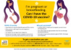 I'm pregnant of breastfeeding, can I have the covid-19 vaccine?