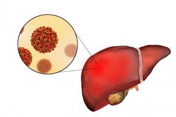 Liver function tests (LFT) – basic information