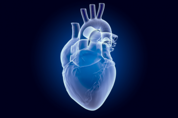 Cardiovascular disease topics