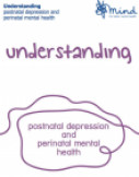 Understanding postnatal depression and perinatal mental health