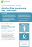 Alcohol facts & effects factsheet