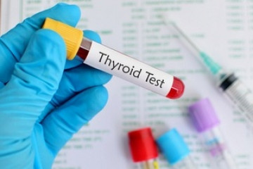 Thyroid function test – in-depth information