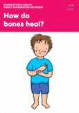 How do bones heal?