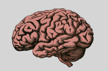 Head and brain injuries