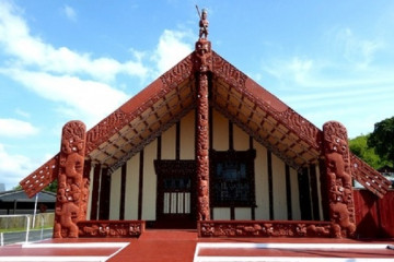Health information in te reo Māori