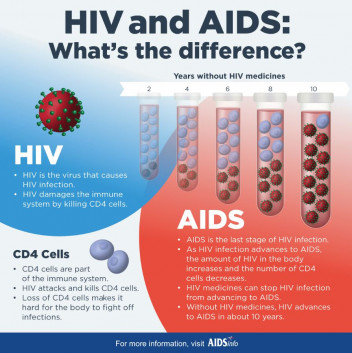 fondo Considerar Recuerdo HIV and AIDS | Health Navigator NZ