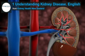 Understanding kidney disease English version